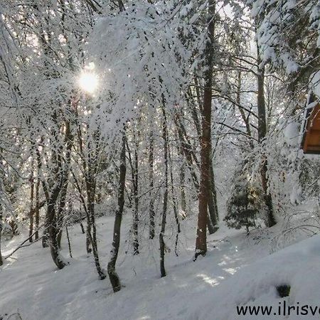 Casa Nella Natura Il Risveglio Degli Elfi Pedavena Εξωτερικό φωτογραφία
