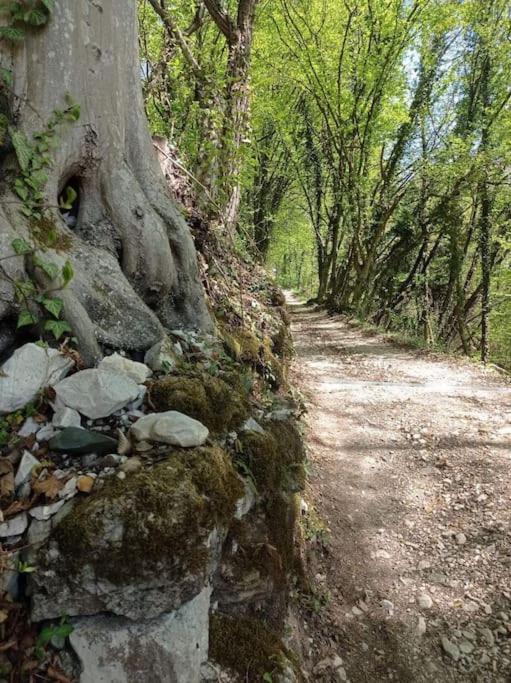 Casa Nella Natura Il Risveglio Degli Elfi Pedavena Εξωτερικό φωτογραφία
